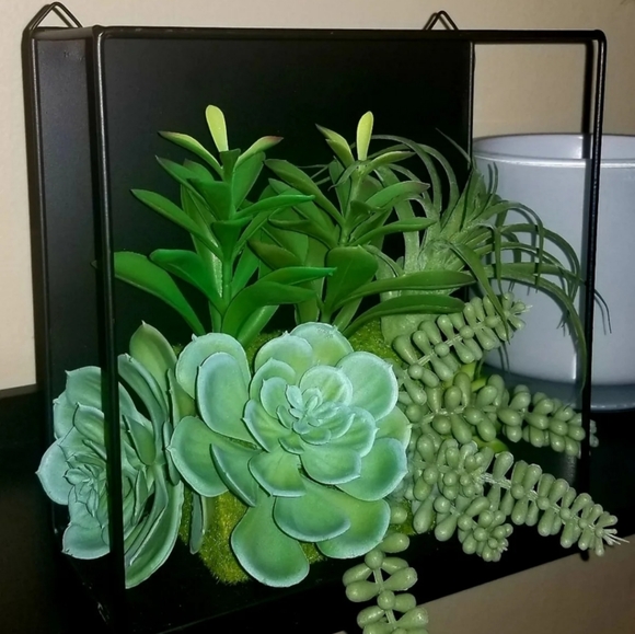 Succulent Floating Cube Shelf Wall Decor - Picture 4 of 8